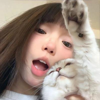 宠物粉红鹅卵石