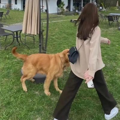 摄影机不要停！